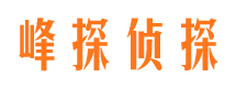 成武市场调查